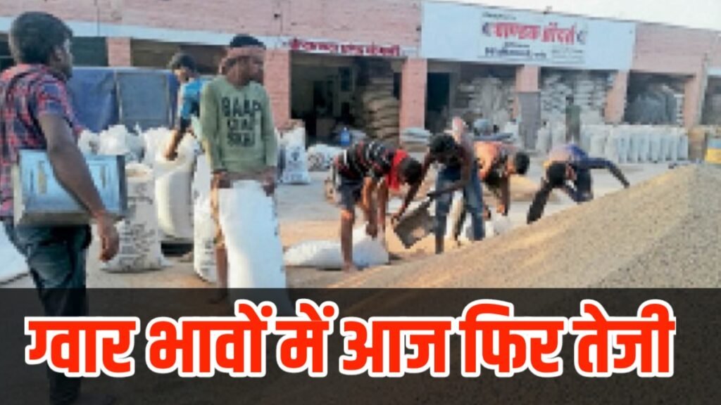 Guar Mandi Taza Bhav