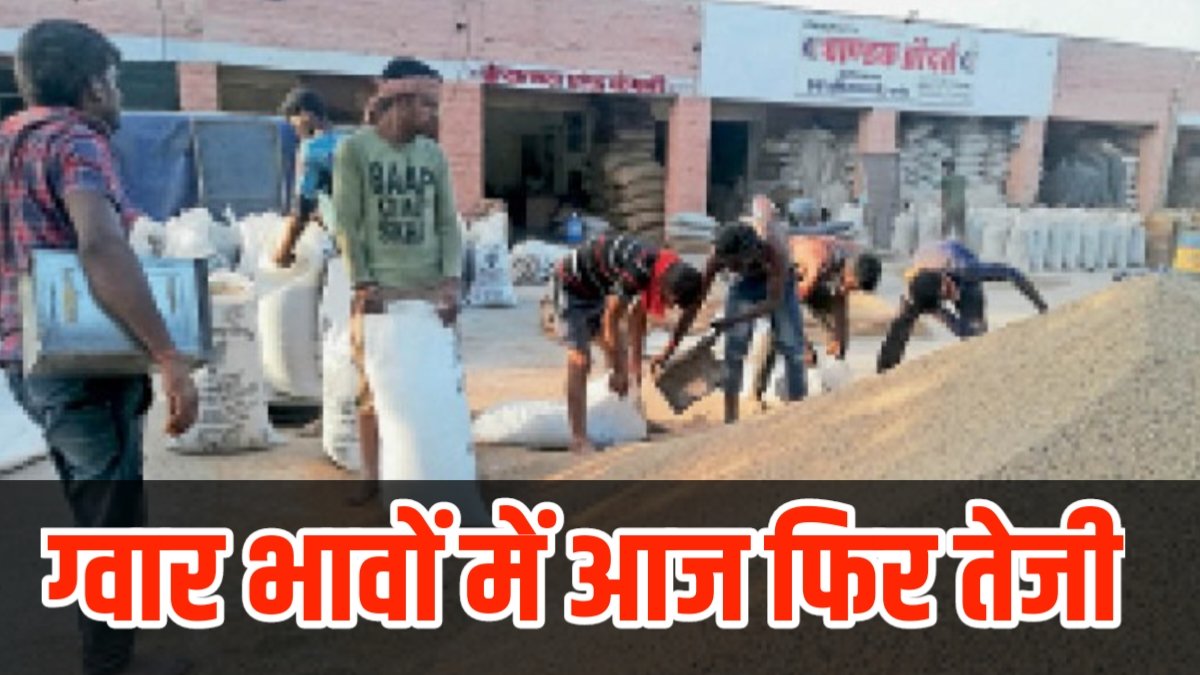 Guar Mandi Taza Bhav